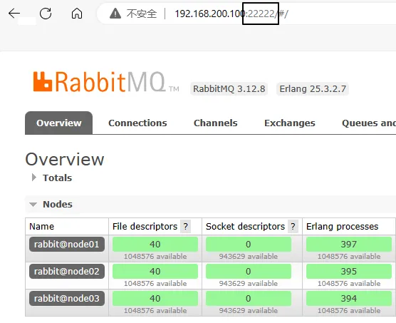 image-20231205203815753