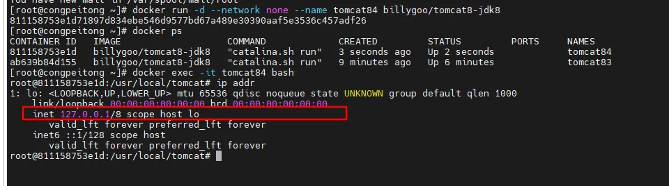 image-20240710132559964